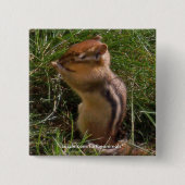 Chipmunk-Button Vierkante Button 5,1 Cm (Voorkant)