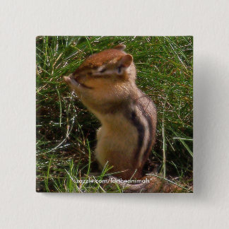 Chipmunk-Button Vierkante Button 5,1 Cm