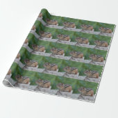 Chipmunk Cadeaupapier (Uitgerold)