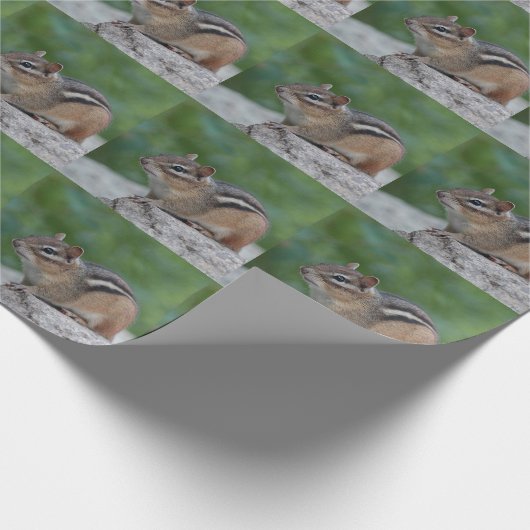 Chipmunk Cadeaupapier (Hoek)