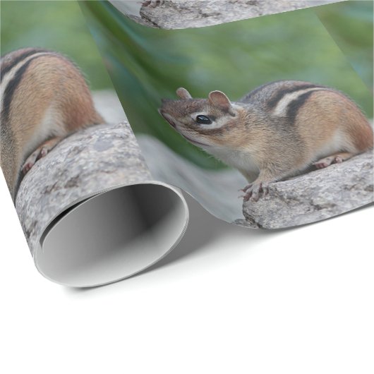 Chipmunk Cadeaupapier (Rol Hoek)