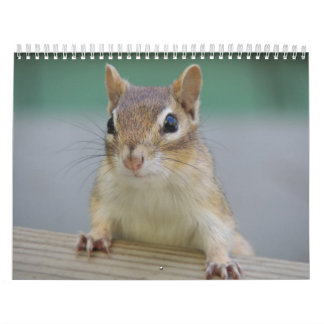 Chipmunk Calendar Kalender