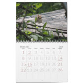 Chipmunk Calendar Kalender (Feb 2026)