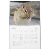 Chipmunk Calendar Kalender (Mar 2026)