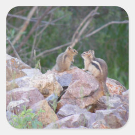 Chipmunk Chatter Vierkante Sticker