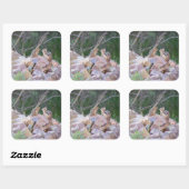 Chipmunk Chatter Vierkante Sticker (Vel)