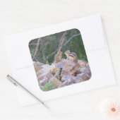 Chipmunk Chatter Vierkante Sticker (Envelop)