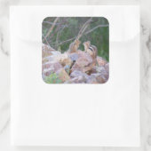 Chipmunk Chatter Vierkante Sticker (Tas)
