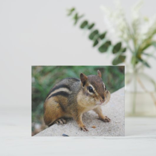 Chipmunk Cheeks Briefkaart (Staand voorkant)