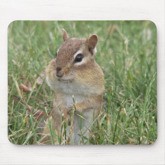 Chipmunk Cheeks Muismat (Voorkant)