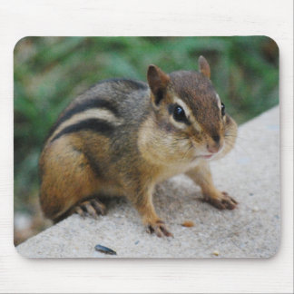 Chipmunk Cheeks Muismat