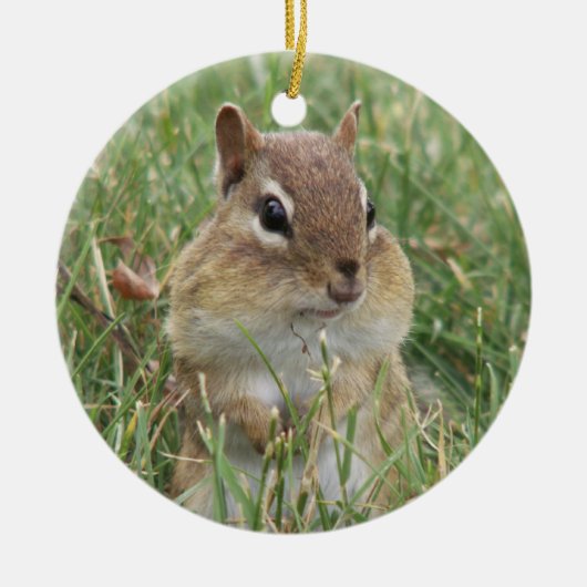 Chipmunk Cheeks-Ornament Keramisch Ornament (Voorkant)