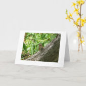 Chipmunk, de botanische tuin van New York Kaart (Gele Bloem)