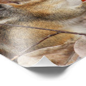 Chipmunk die een Cherry Foto afdrukken (Hoek)