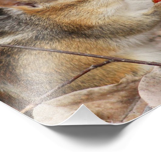 Chipmunk die een Cherry Foto afdrukken (Hoek)