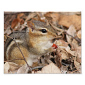 Chipmunk die een Cherry Foto afdrukken (Voorkant)