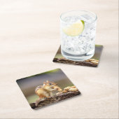 Chipmunk die een pinda eet kartonnen onderzetters (Insitu)