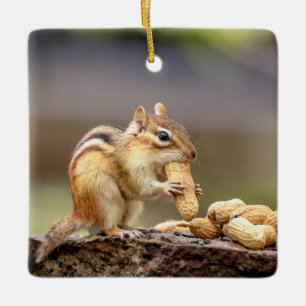 Chipmunk die een pinda eet keramisch ornament
