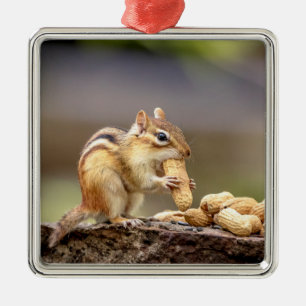 Chipmunk die een pinda eet metalen ornament