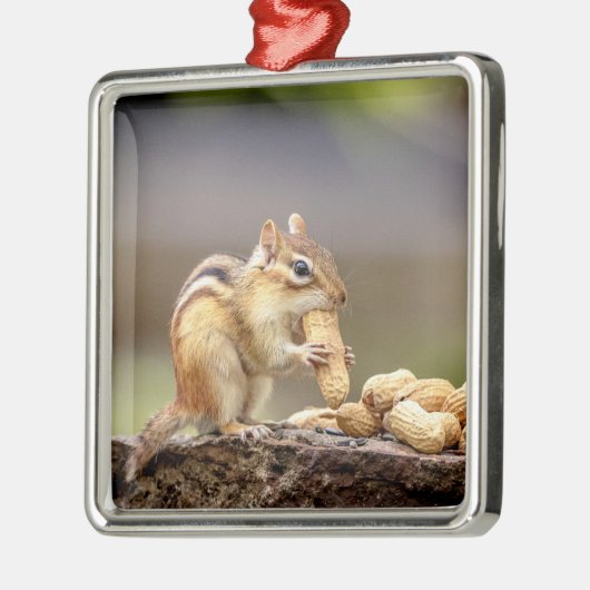 Chipmunk die een pinda eet metalen ornament (Links)