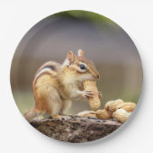 Chipmunk die een pinda eet papieren bordje (Voorkant)