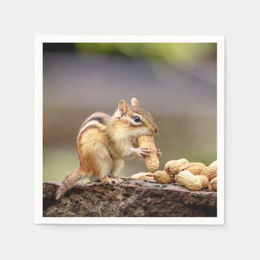 Chipmunk die een pinda eet servetten (Voorkant)