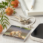 Chipmunk die een pinda eet sleutelhanger (Voorkant Rechts)