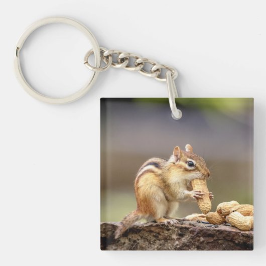 Chipmunk die een pinda eet sleutelhanger (Voorkant)