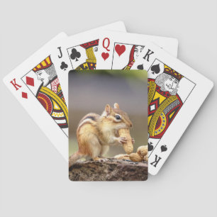 Chipmunk die een pinda eet speelkaarten