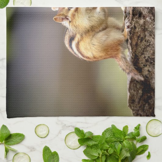 Chipmunk die een pinda eet theedoek (Gevouwen)