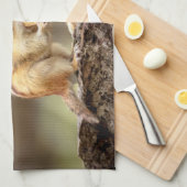 Chipmunk die een pinda eet theedoek (Quarter Fold)