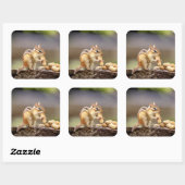 Chipmunk die een pinda eet vierkante sticker (Vel)