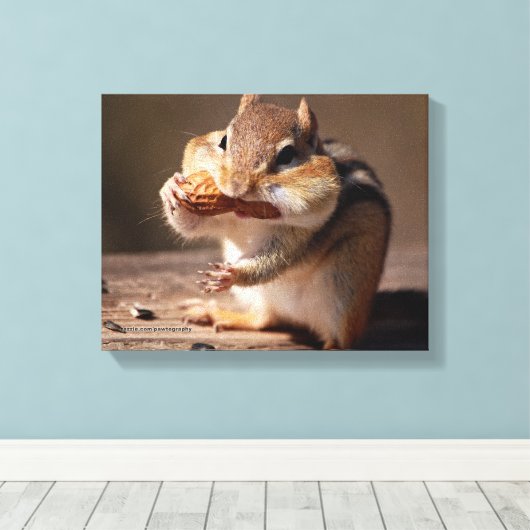 Chipmunk die zijn gezicht bestudeert canvas afdruk (Insitu (Houten vloer))