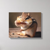 Chipmunk die zijn gezicht bestudeert canvas afdruk (Voorkant)