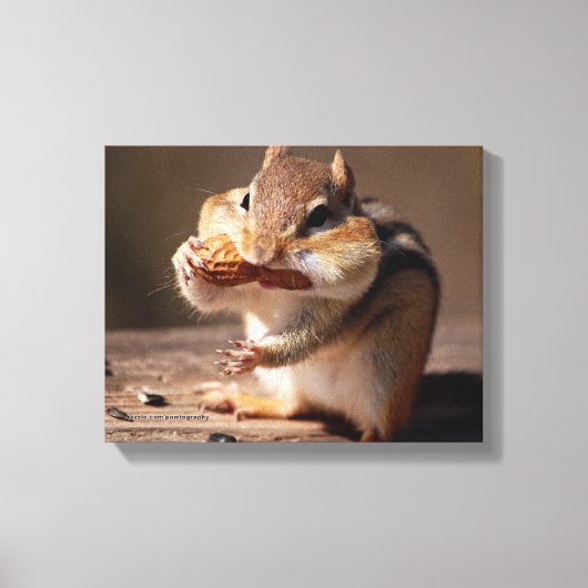 Chipmunk die zijn gezicht bestudeert canvas afdruk (Voorkant)