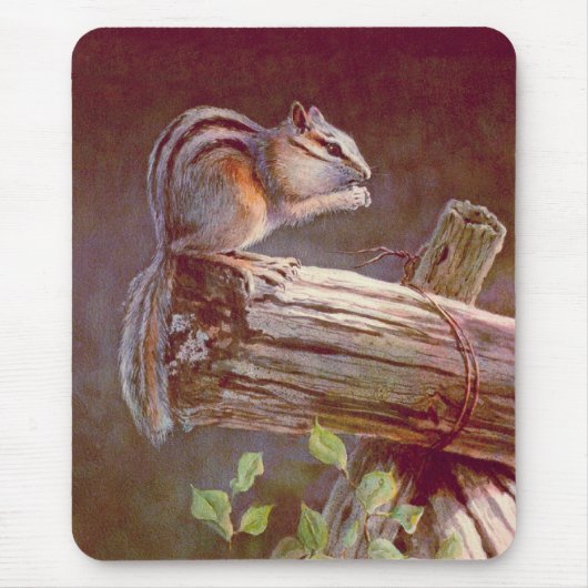CHIPMUNK DOOR SHARON SHARPE MUISMAT (Voorkant)