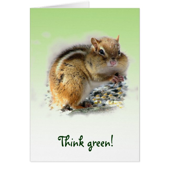 Chipmunk Earth Day (Voorkant)