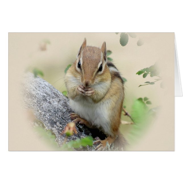 Chipmunk Eating (Voorkant Horizontaal)