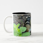 Chipmunk Eating And Collecting In The Garden Photo Tweekleurige Koffiemok (Links)