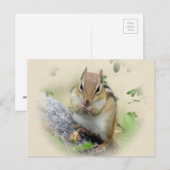 Chipmunk Eating Briefkaart (Voorkant / Achterkant)