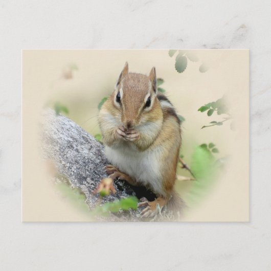 Chipmunk Eating Briefkaart (Voorkant)