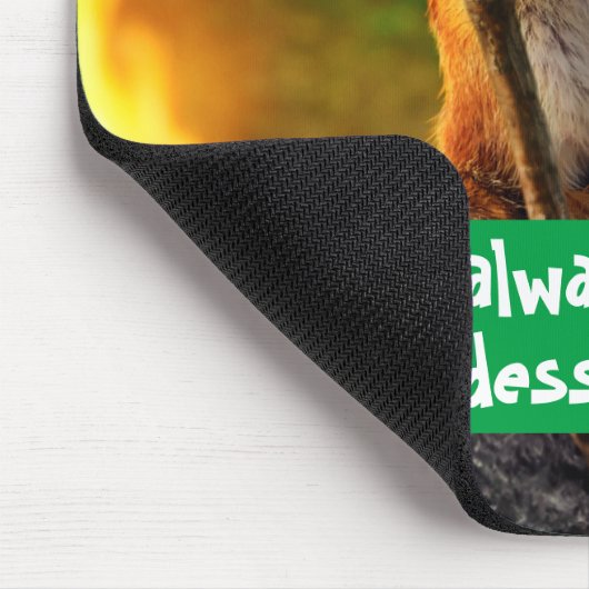 Chipmunk Eating Marshmallow Muismat (Hoek)