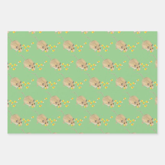 Chipmunk, Eekhoorn en Muis Inpakpapier Vel (Voorkant 3)