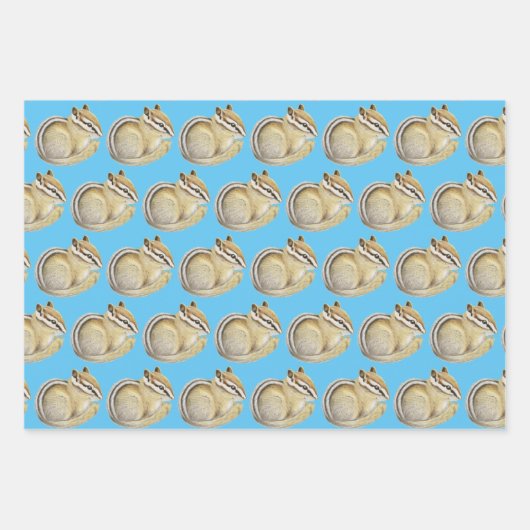 Chipmunk, Eekhoorn en Muis Inpakpapier Vel (Voorkant)