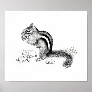 Chipmunk en Acorns Poster