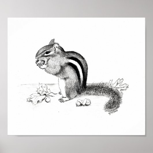 Chipmunk en Acorns Poster (Voorkant)