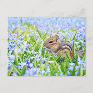 Chipmunk en Blue Spring Flowers Briefkaart