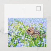 Chipmunk en Blue Spring Flowers Briefkaart (Voorkant / Achterkant)