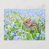 Chipmunk en Blue Spring Flowers Briefkaart (Voorkant)