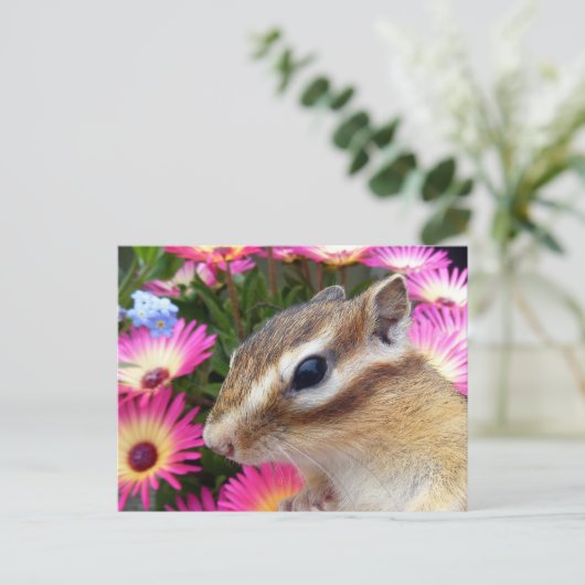 Chipmunk foto (30-13) briefkaart (Staand voorkant)